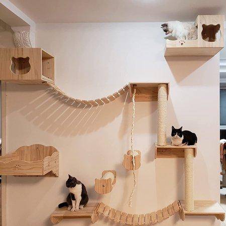 Desain Tempat Bermain Kucing